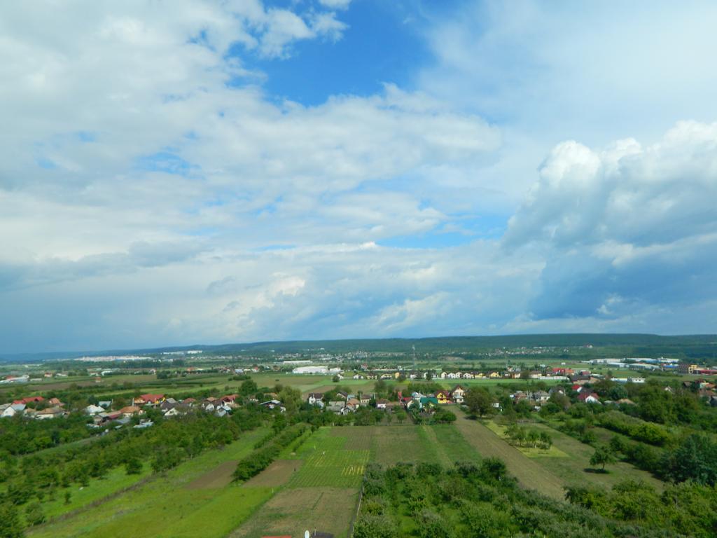 Pensiunea Andrei Maracineni Buitenkant foto